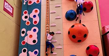 Climbing Wall